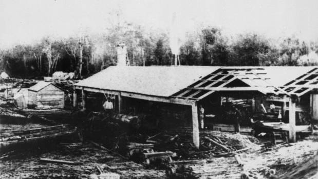 Adsett Sawmill, Colyton, pictured in 1890, was one of 28 operating in the district.